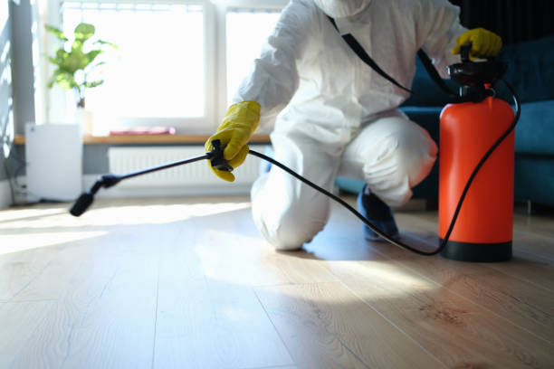 Reliable Odor Removal contractor in Ridgecrest, CA by Dulley Family Biohazard Services